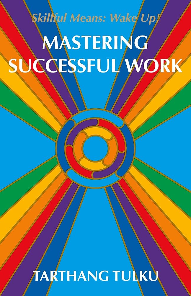 Mastering Successful Work: Skillful Means: Wake Up! cover image