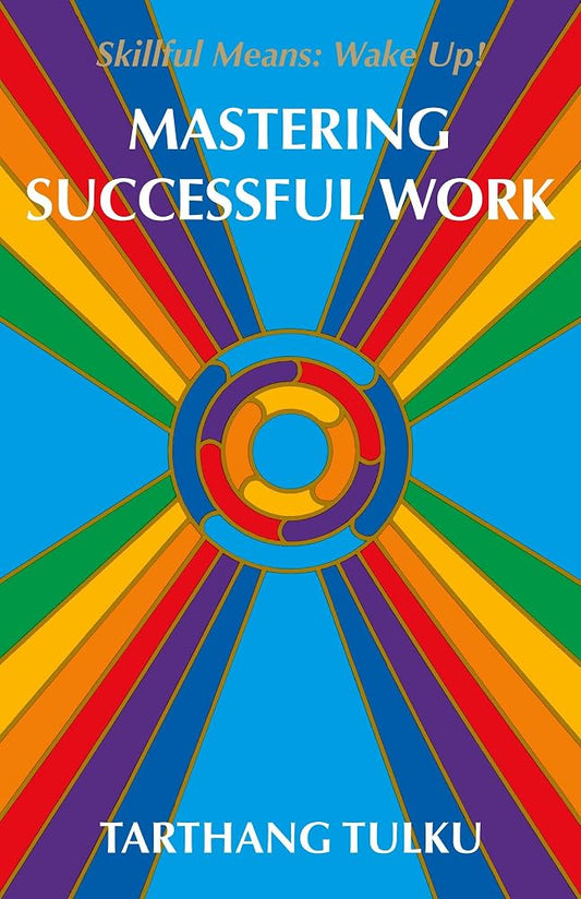 Mastering Successful Work: Skillful Means: Wake Up! cover image