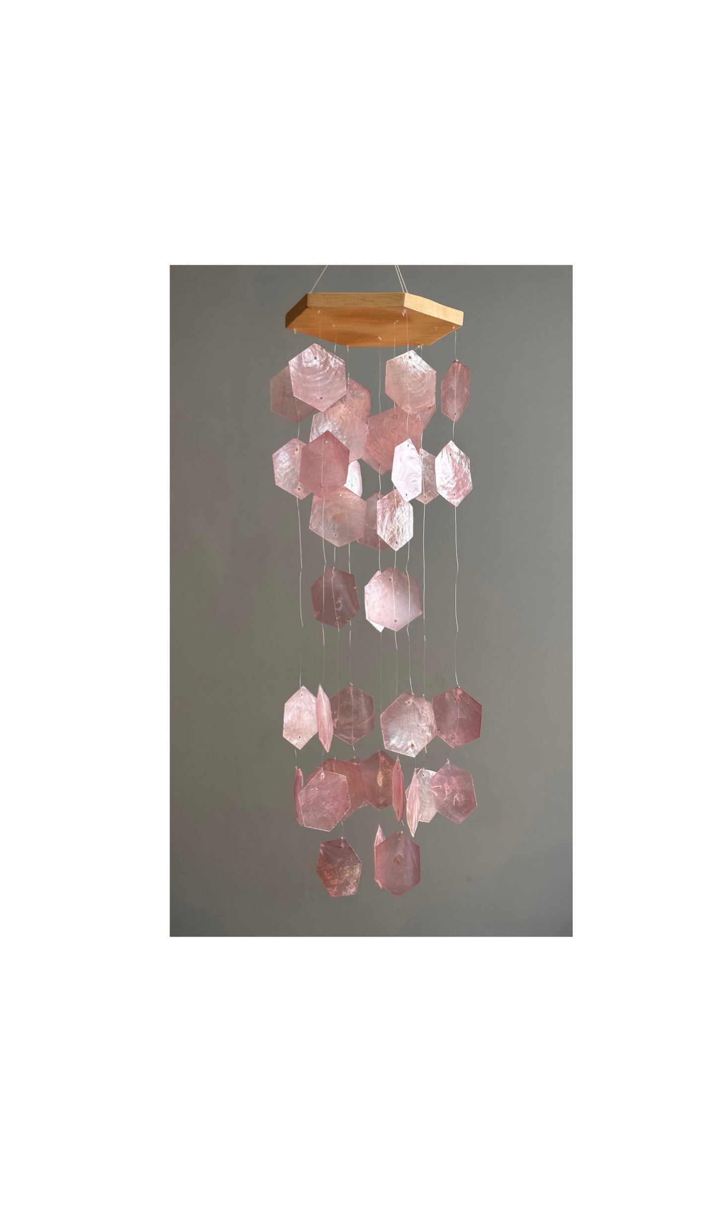 NU 30% KORTING -Schelpen chimes