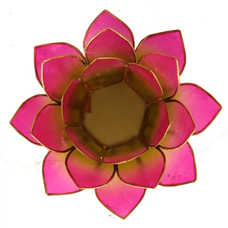 Lotus sfeerlicht