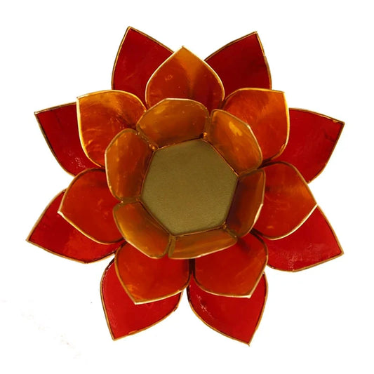 Lotus sfeerlicht