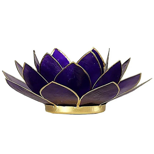 Lotus sfeerlicht