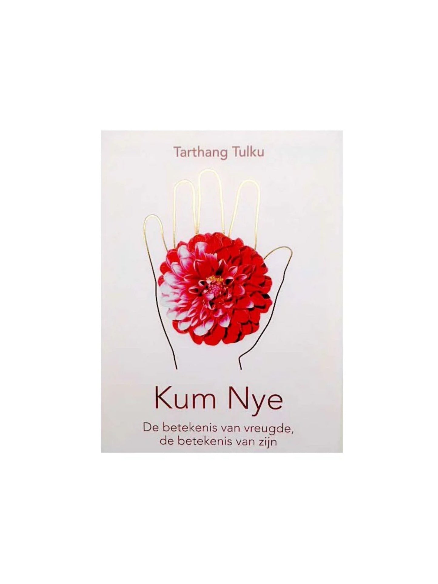 Kum Nye de Betekenis van Vreugde, de Betekenis van Zijn - Tarthang Tulku